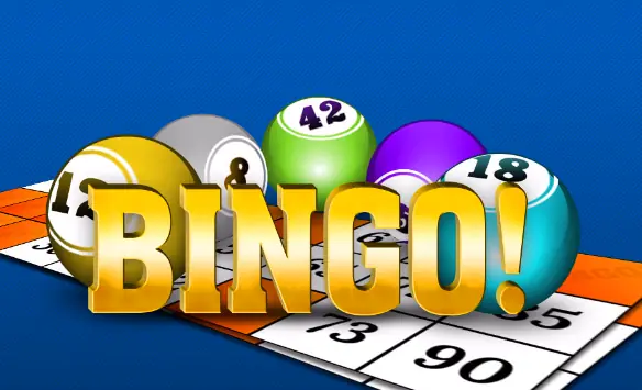 Evolve casino bingo